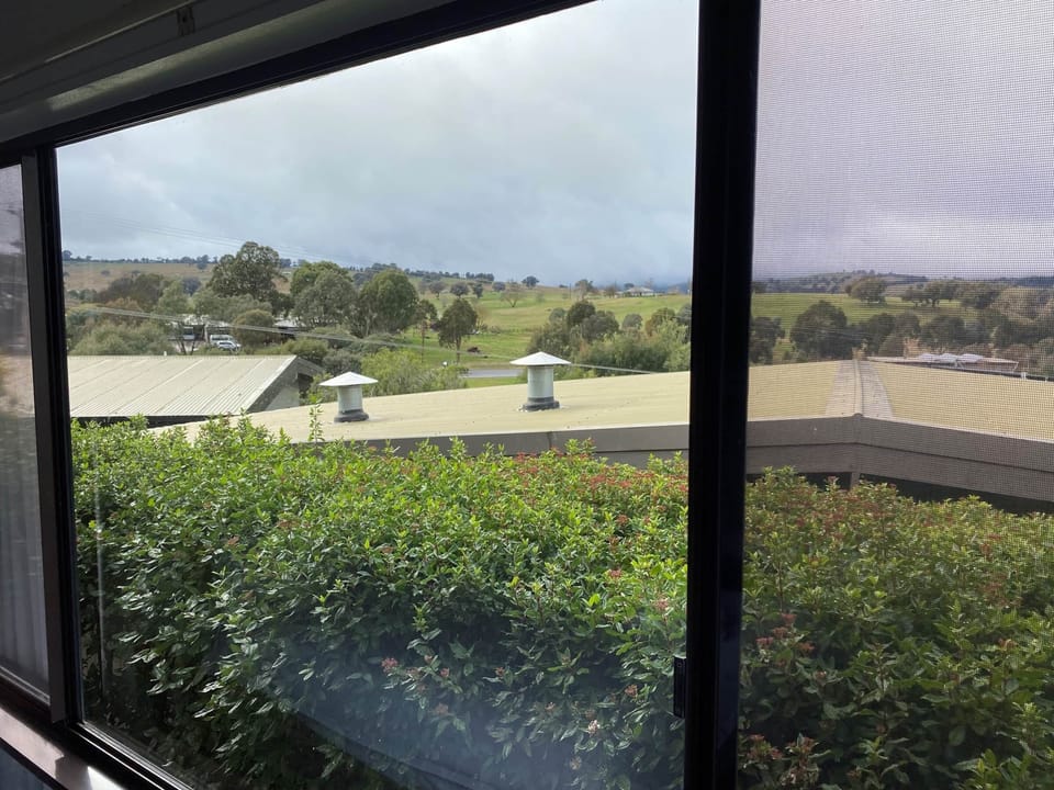 View Cedar 3