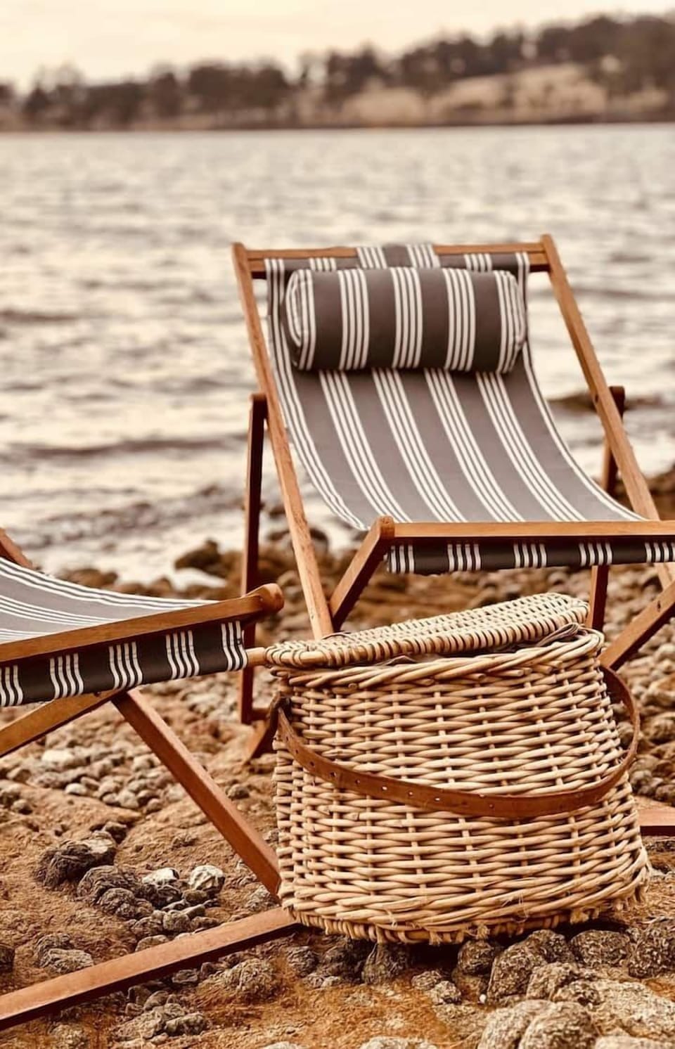 95a7dc4f 58d1 4889 b58e 43bc45dcc558