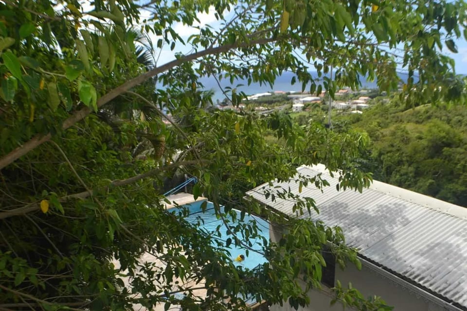 Swimming pool view