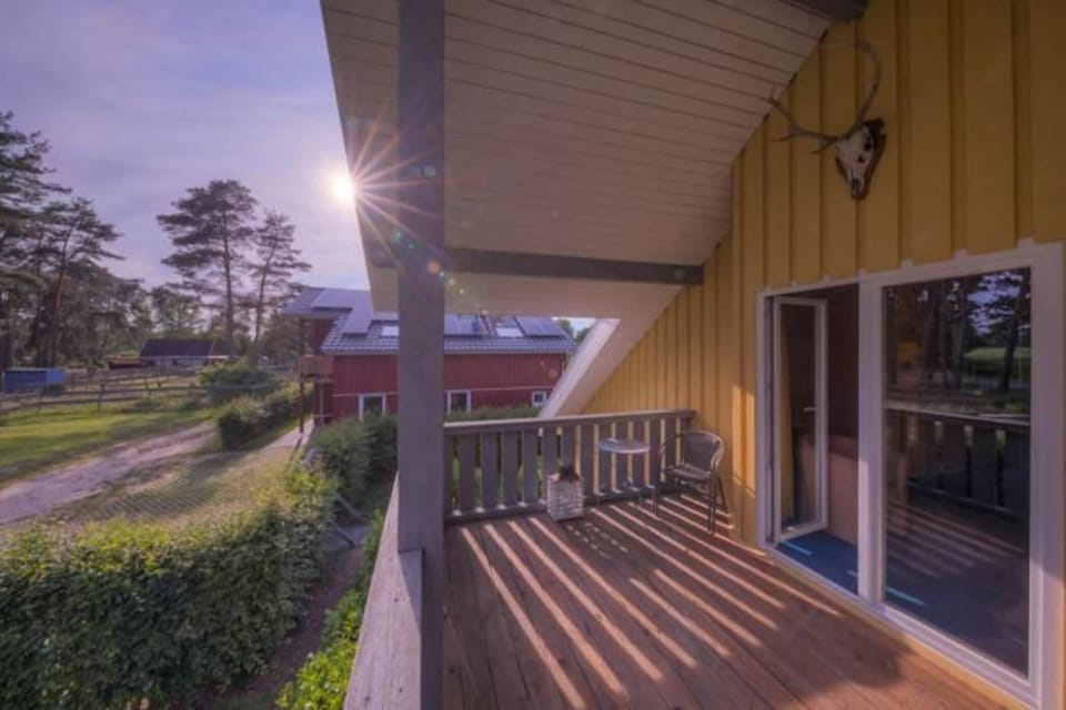 Patio / Balcony