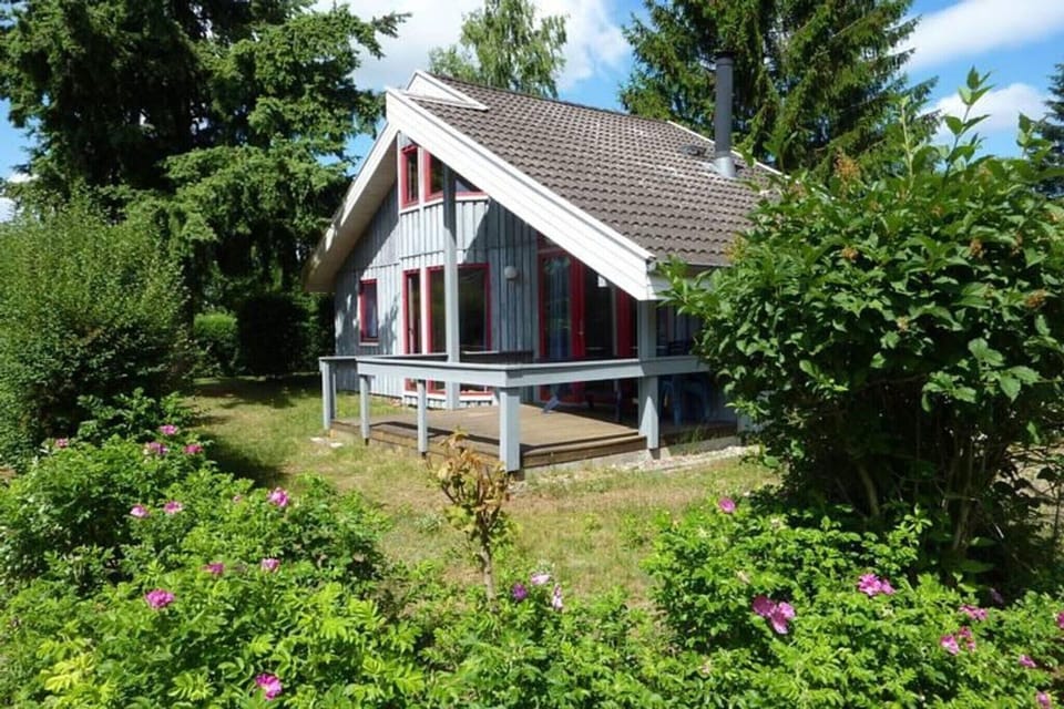 Garden [summer]