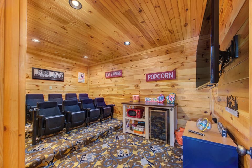 Views To Die For's theater room