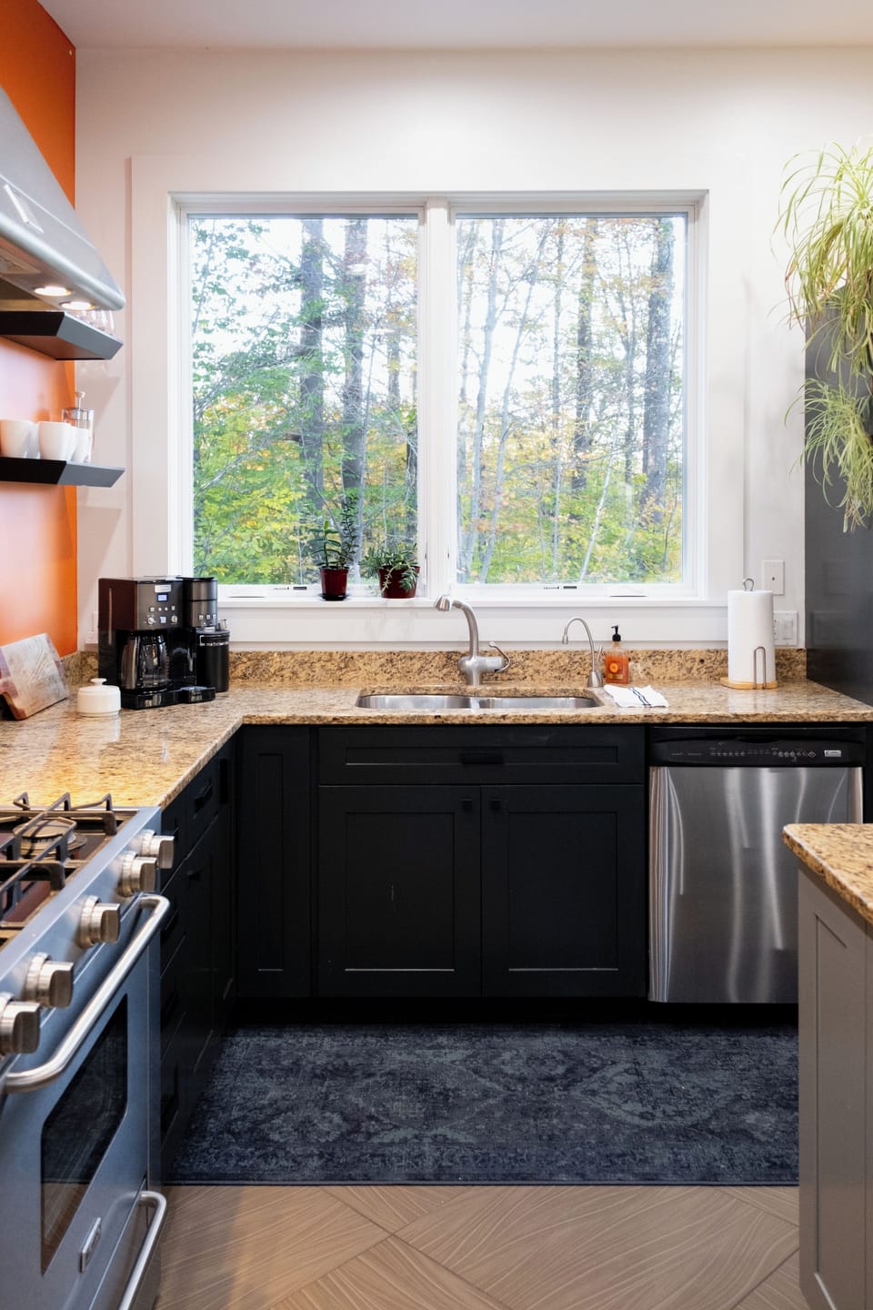 Double sink with sink trash disposal system, lg windows let in natural light