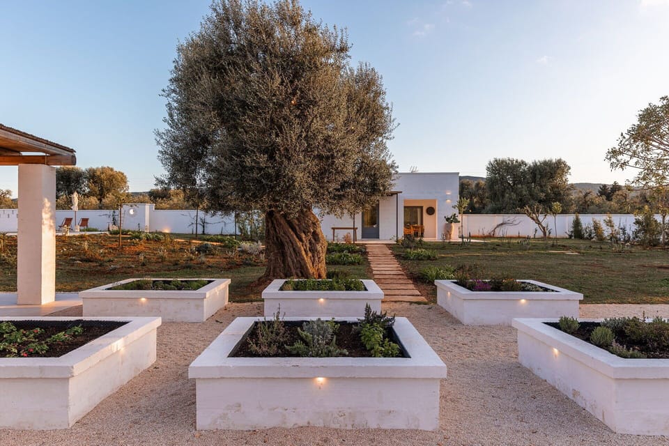 Activities, Amenities, Balcony / Terrace / Patio, Building Exterior, Facilities, Food, Kitchen, Pool, Spring, Summer, Wellness