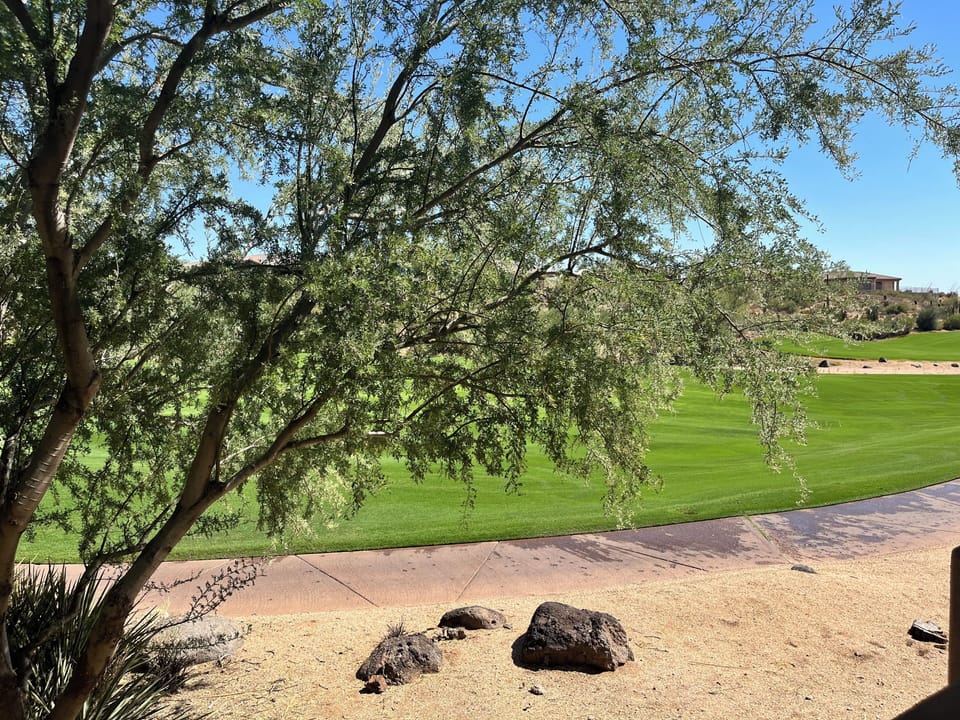 Outside view from patio