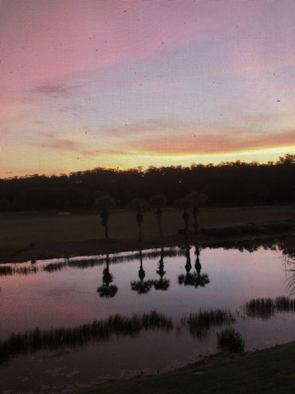 Sunset view—beautiful