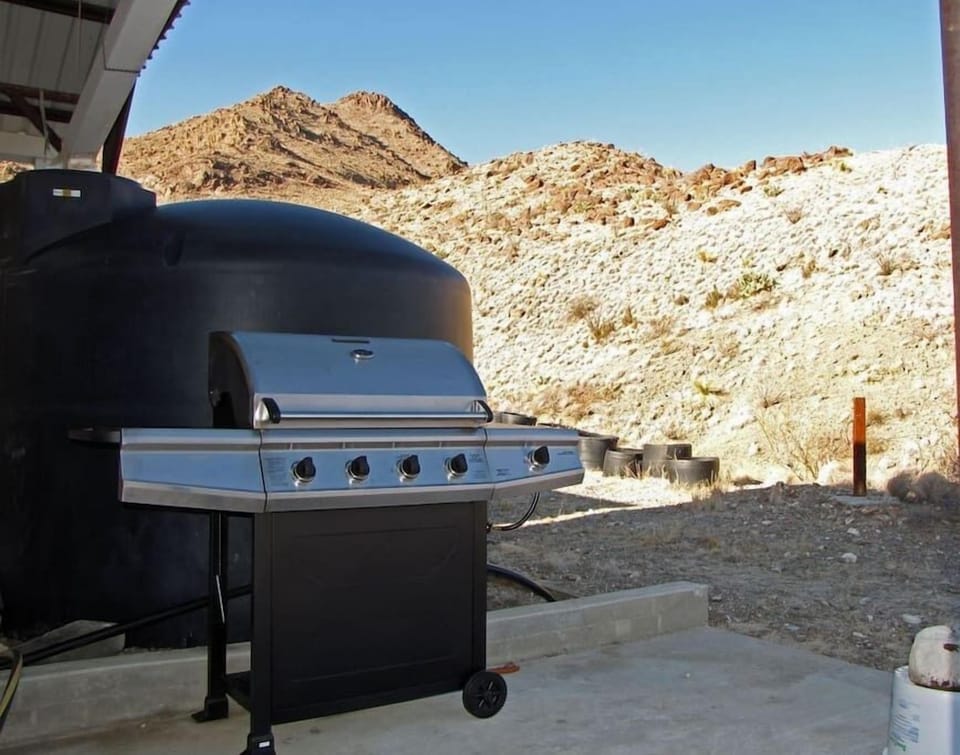 Propane Grill