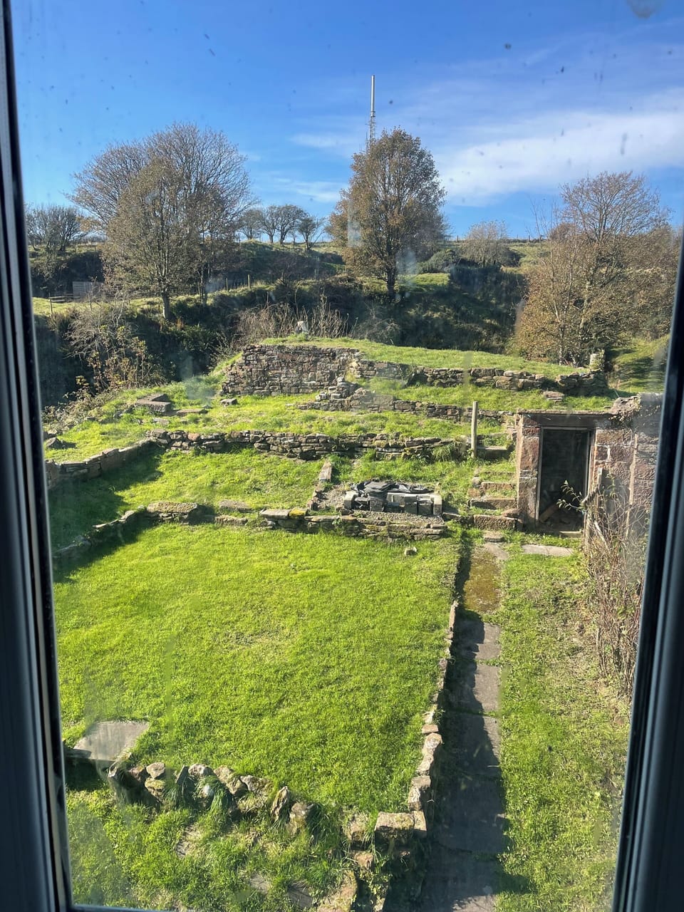 The garden 