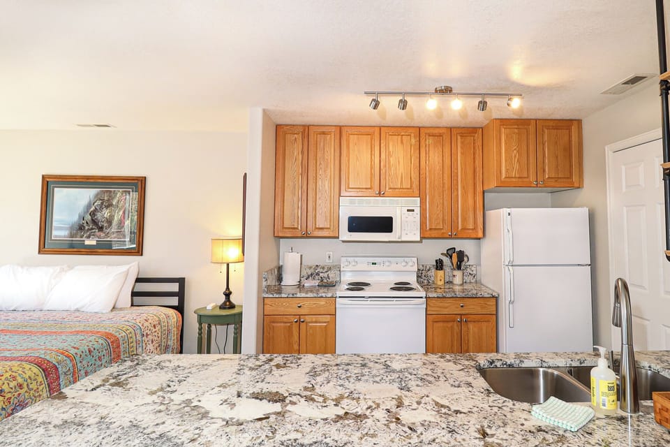Full Kitchen w/ Electric Stovetop
