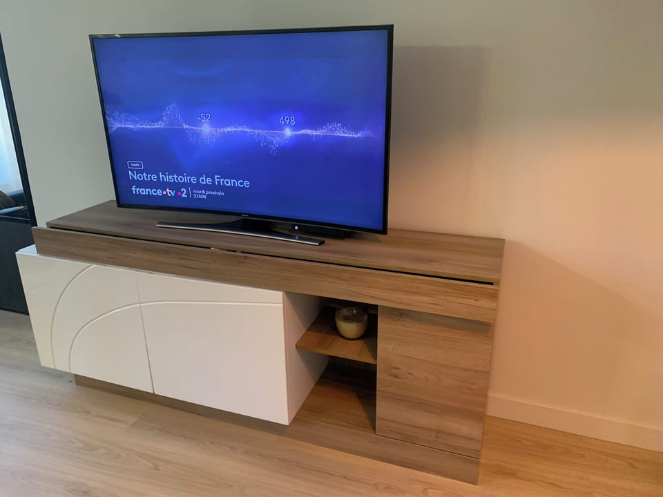 Television