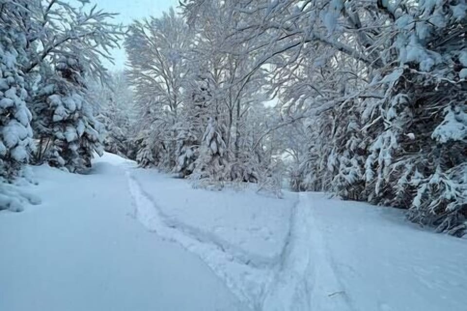 Winter