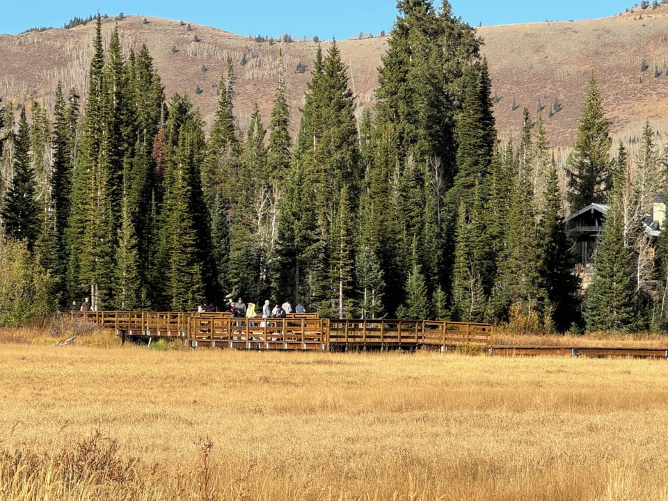 Boardwalk 1 minute walk from our back door