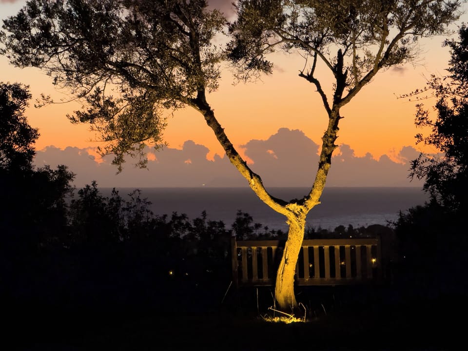 View from property