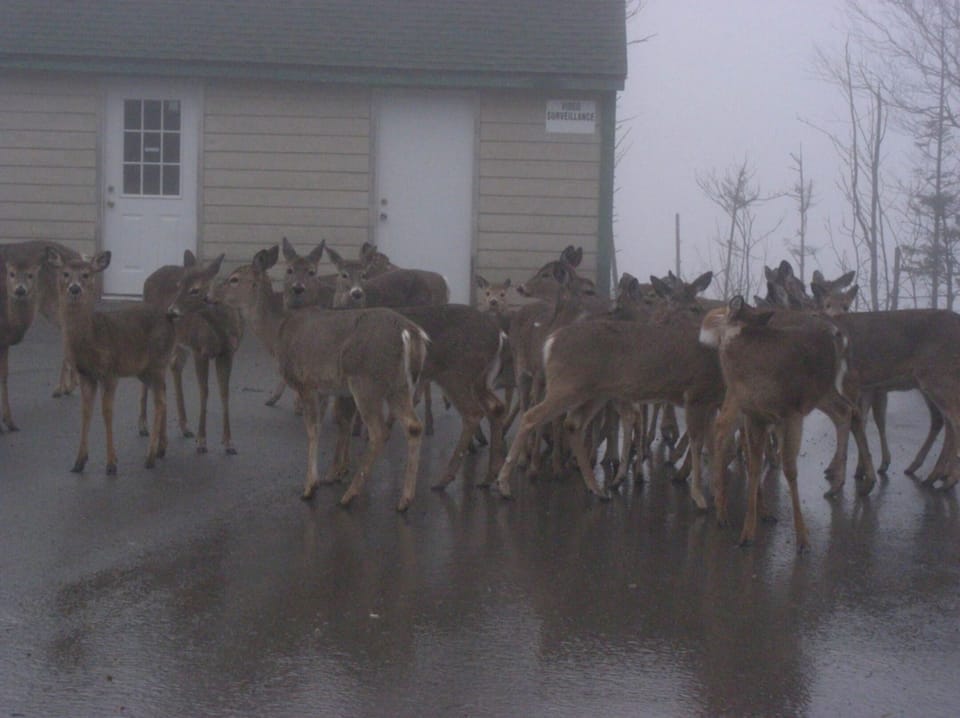 Nature surrounds us.