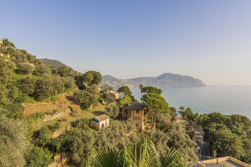 Autumn, Scenic View, Spring, Summer