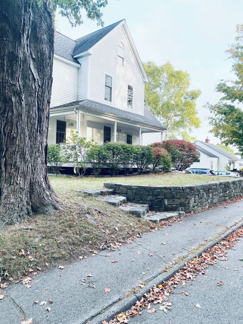 Sidewalk for walking. Back steps to get to the fenced in area in back.