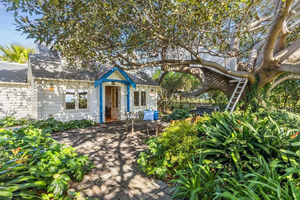 The hidden treehouse