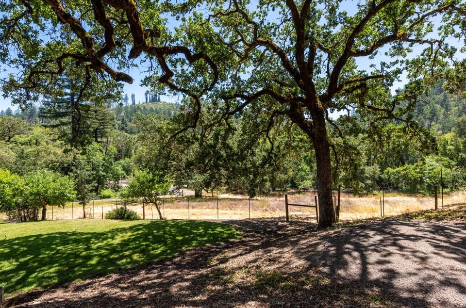 Wide, open lawn—perfect for picnics, games, or simply basking in the sunshine.