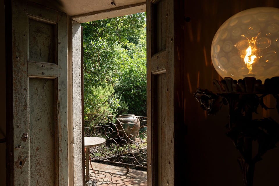 Plant, Property, Wood, Lighting, Shade, Interior Design, Building, Sunlight, Vegetation