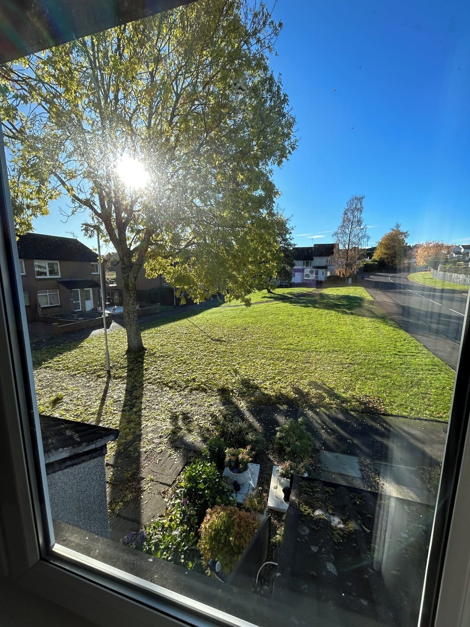 The view from your living room 🩷