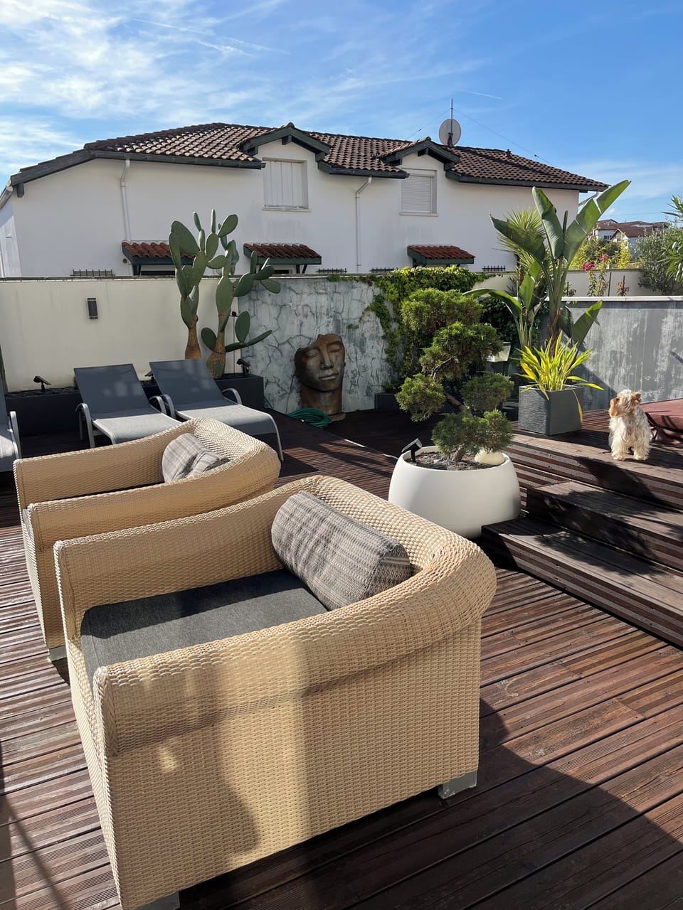 Terrace/patio