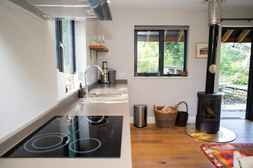 Kitchen area in the cabin with electric hob and wood burner