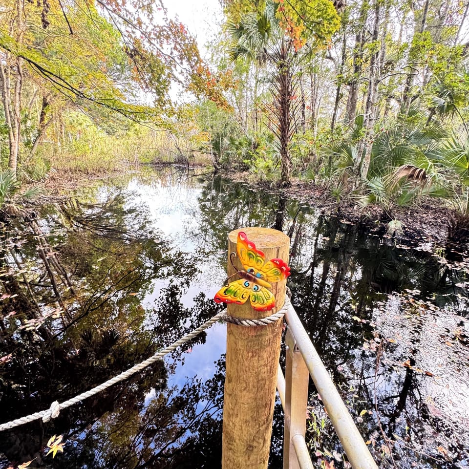 Small pond in back yard