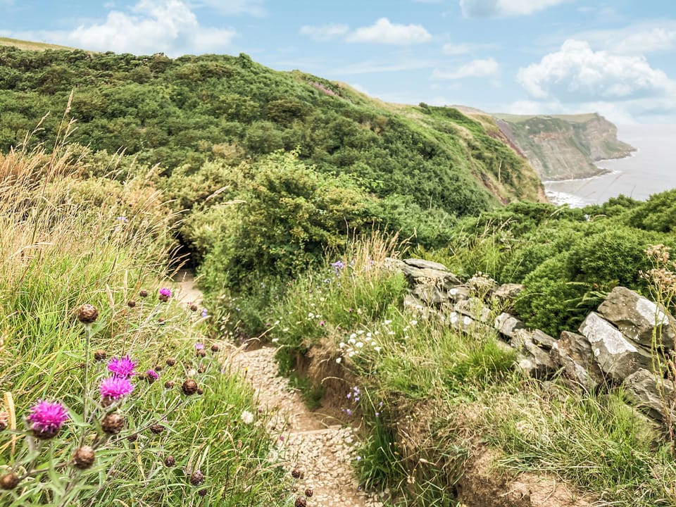 Surrounding area | Coastal Cottage, Saltburn-by-the-Sea