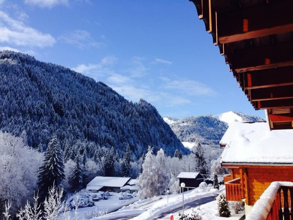 View -