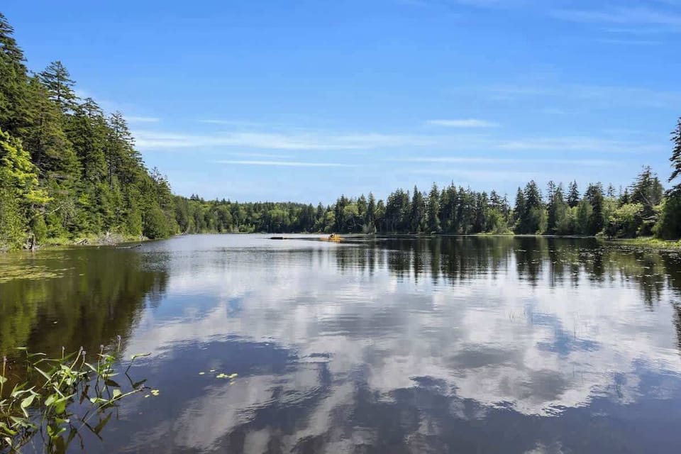 Enjoy the lake on the sea cycle, paddle board or inflatables!