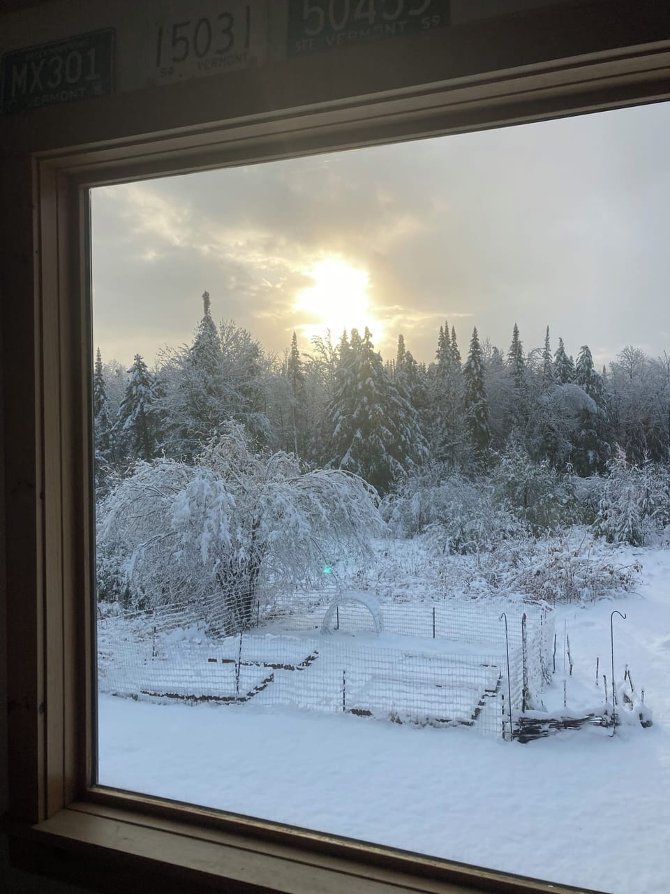 View from property