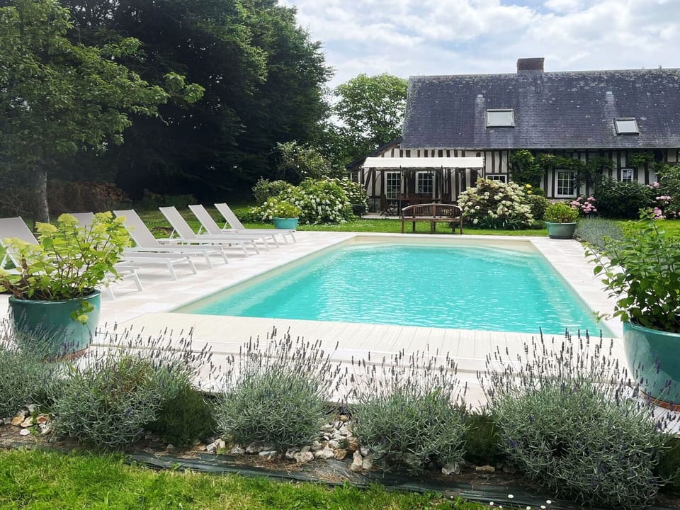 Water, Plant, Property, Sky, Cloud, Swimming Pool, Rectangle, Flowerpot, Grass, Tree