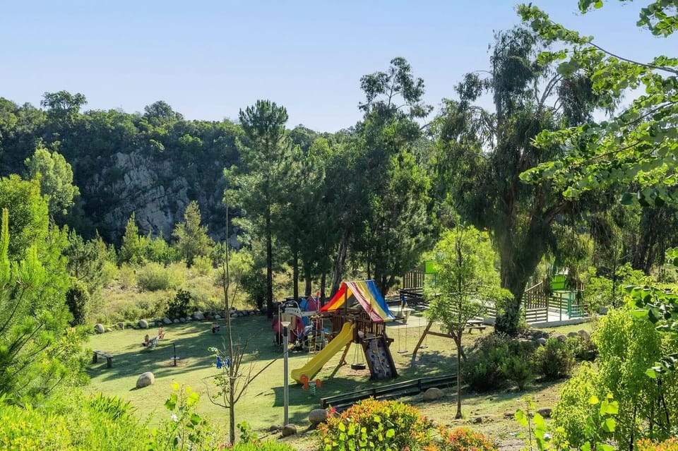Children's area