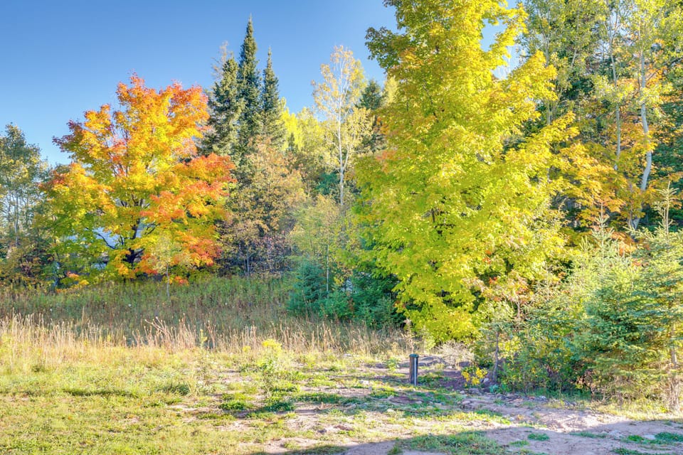 Property Surroundings