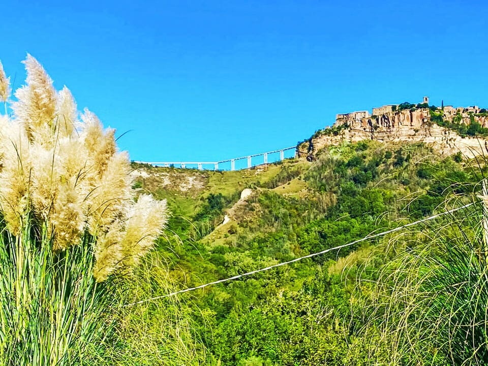 Sky, Plant, Natural Landscape, Natural Environment, Land Lot, Tree, Urban Design, Grass, Plain, Grassland