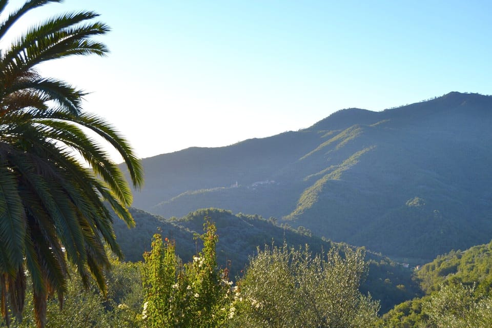View from Holiday Home [summer]
