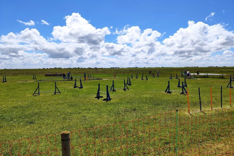 Surroundings [summer] (1-5 km)