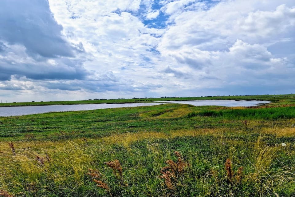 Surroundings [summer] (1-5 km)