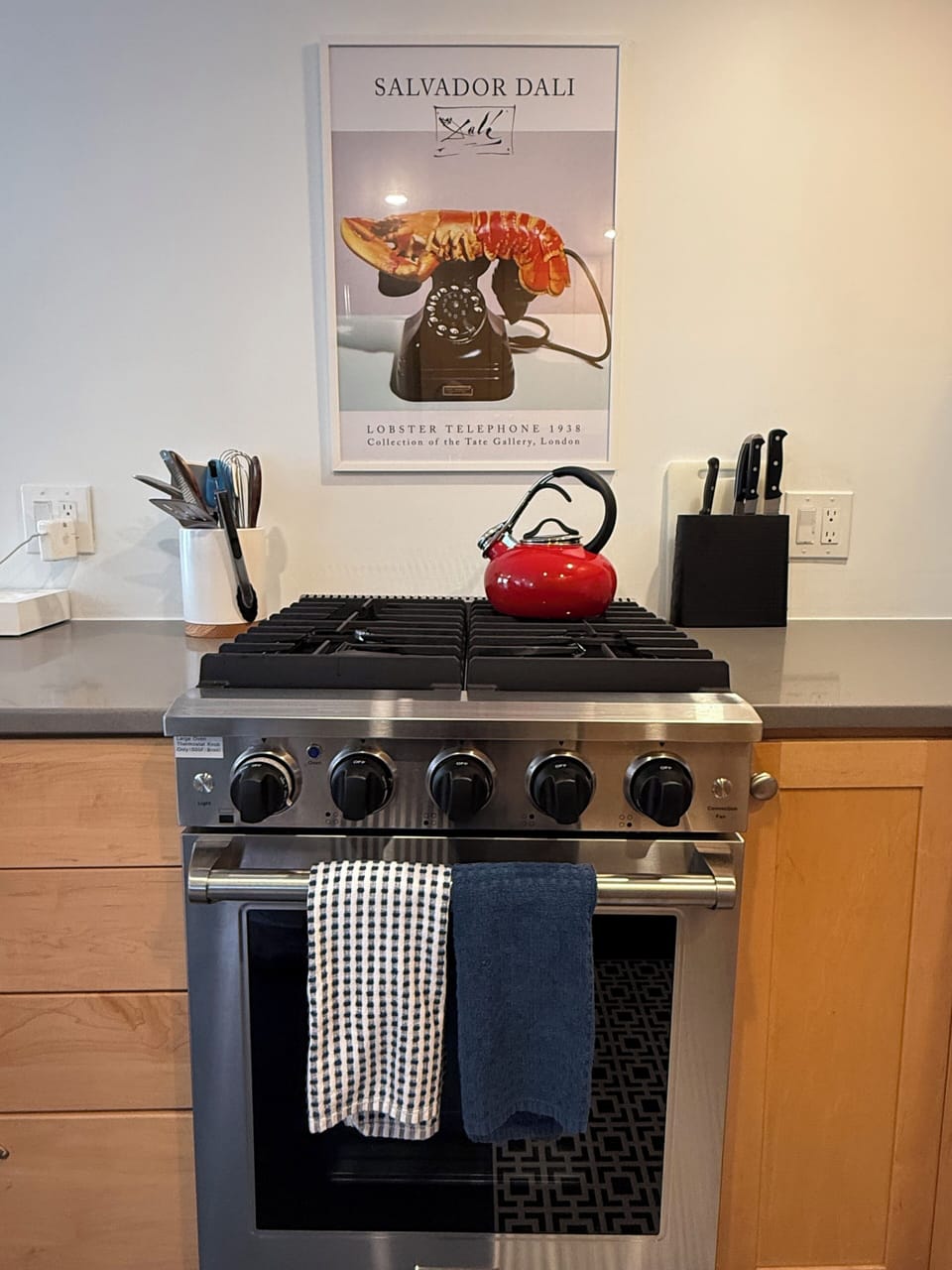 Brand new stove