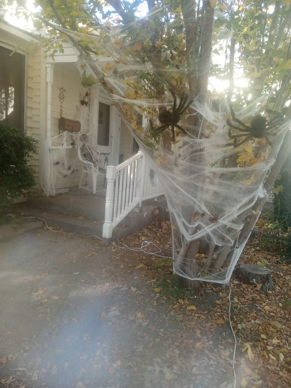 Property grounds