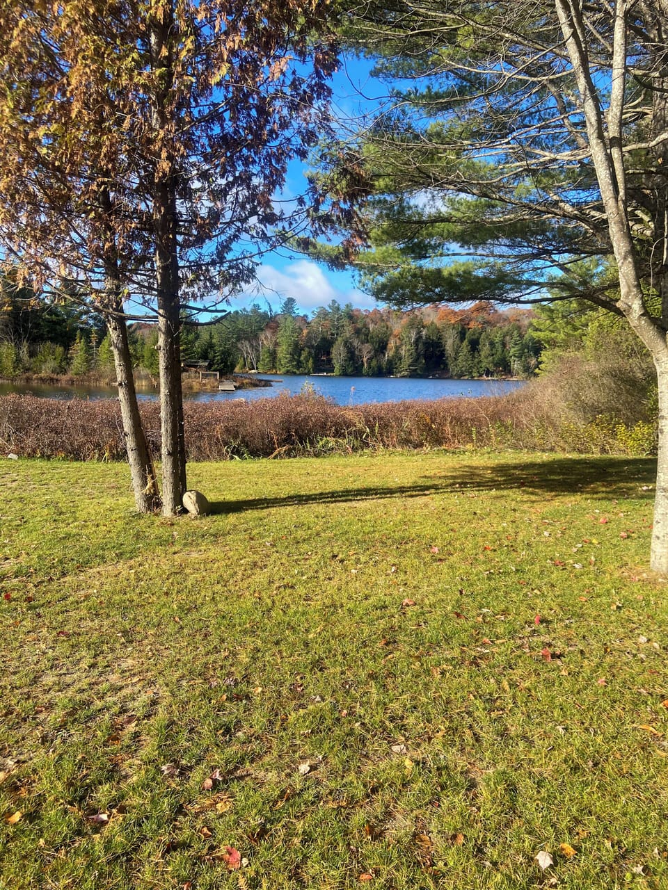 view of the lake from the fire pit 