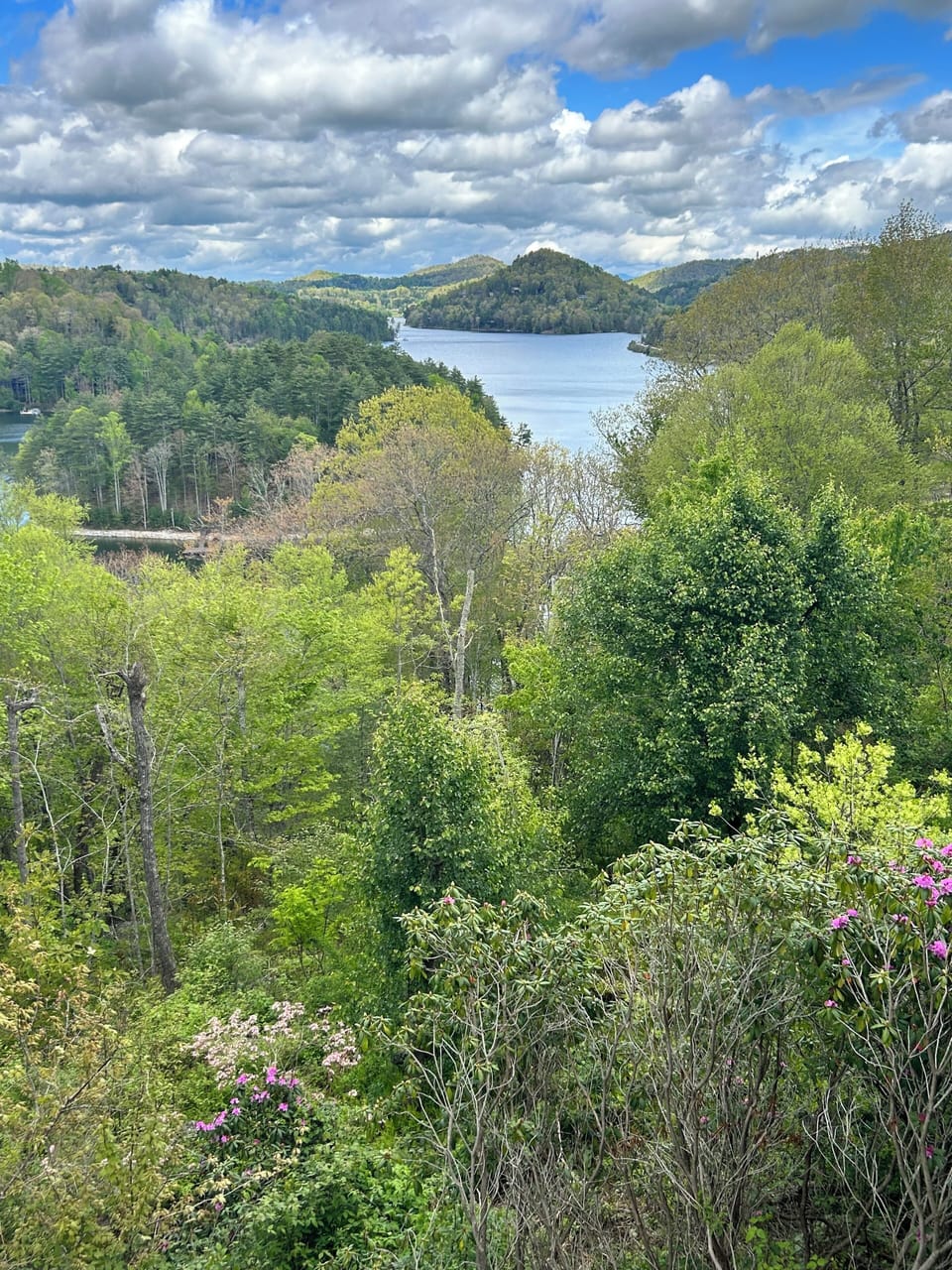 Layers of Green looking out to the lake! Spring!