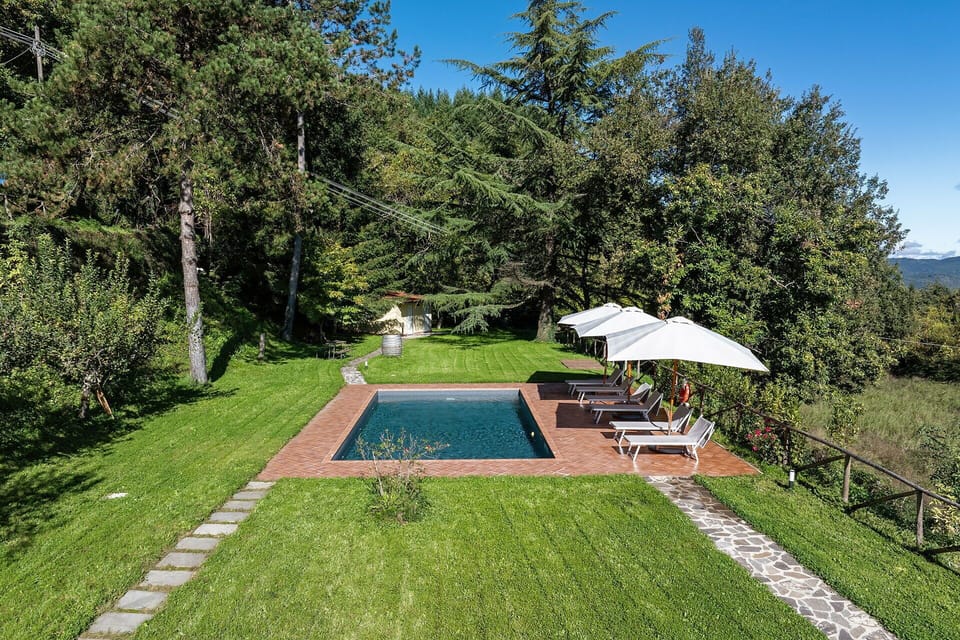 Plant, Sky, Umbrella, Botany, Tree, Shade, Land Lot, Grass, Swimming Pool, Leisure