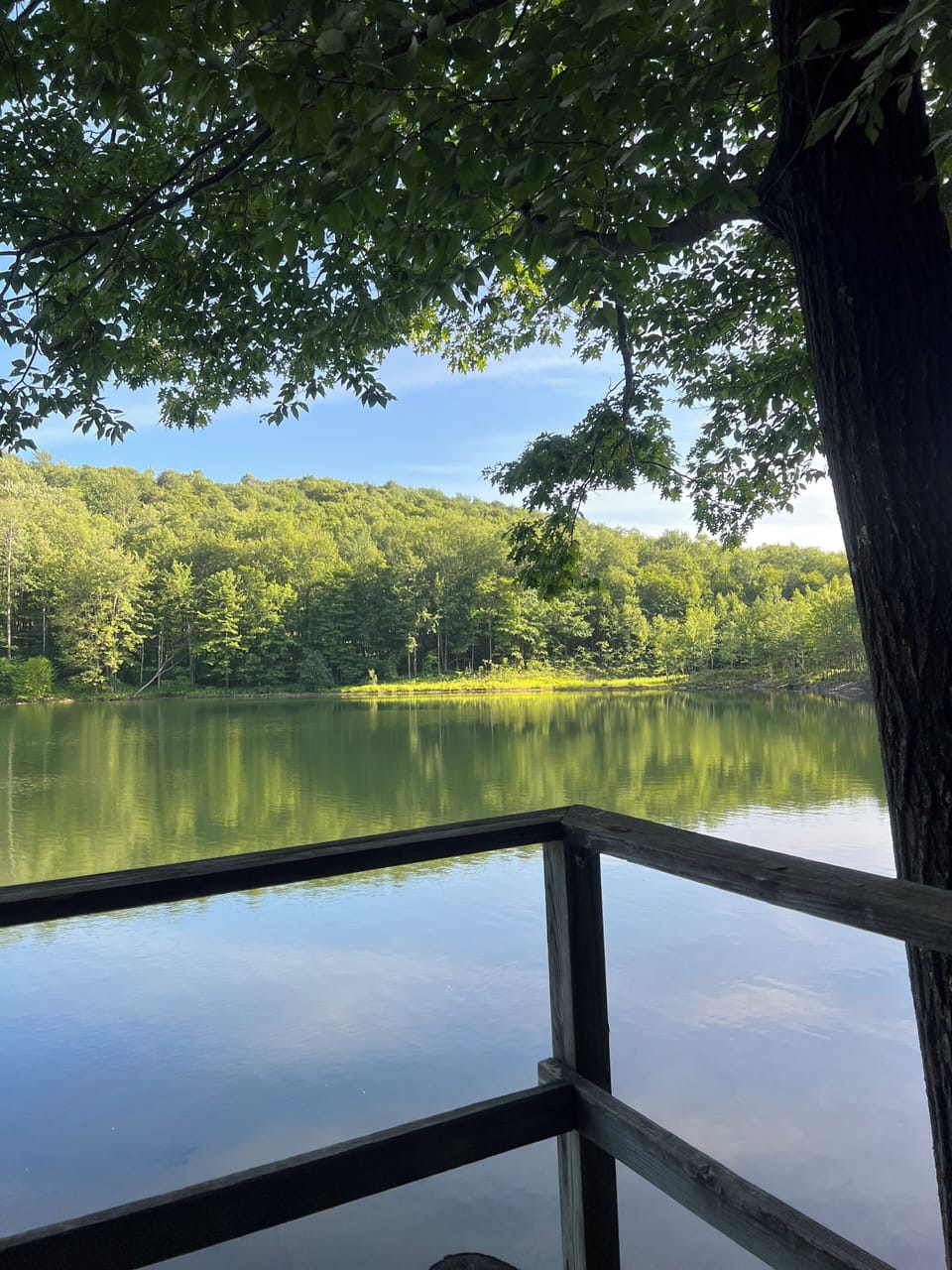 View from property