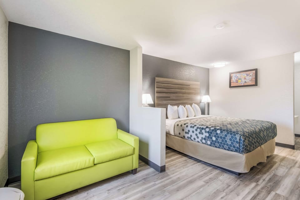 King bed and sofa bed