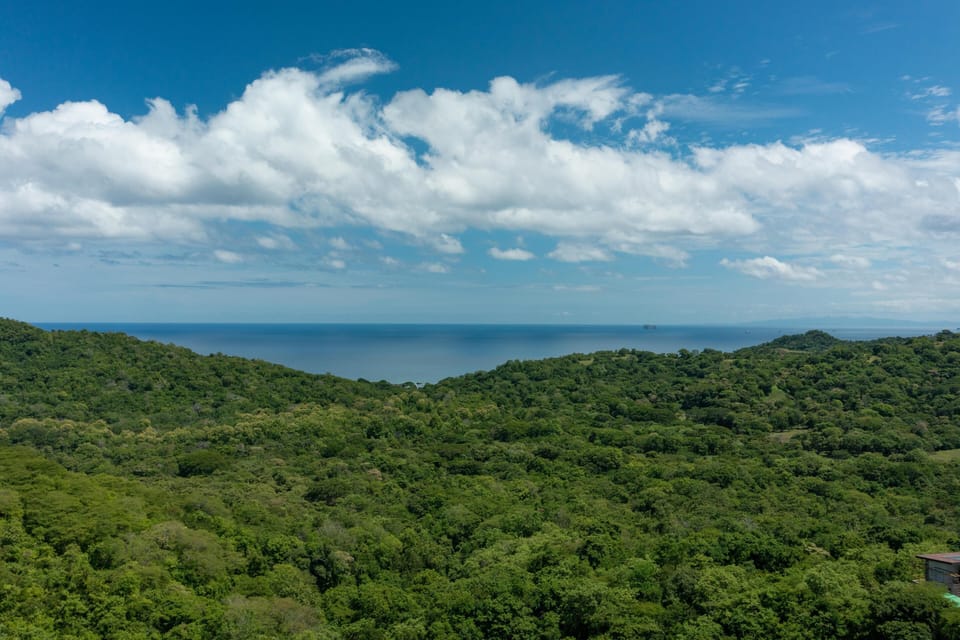 Las Baulas National Park is not far away.  Ask our concierge about turtle tours,  or an estuary experierce in a Panga.  GVR guests services eliminates the guess work.  Our local knowledge and experience is available to make your vacation as seemless as po
