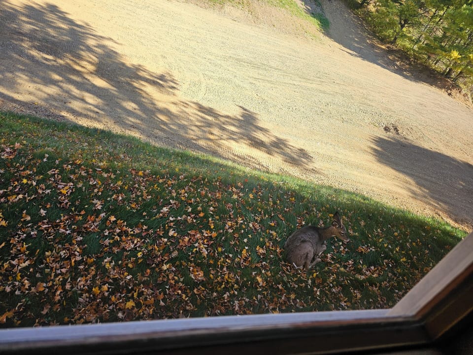 View from property