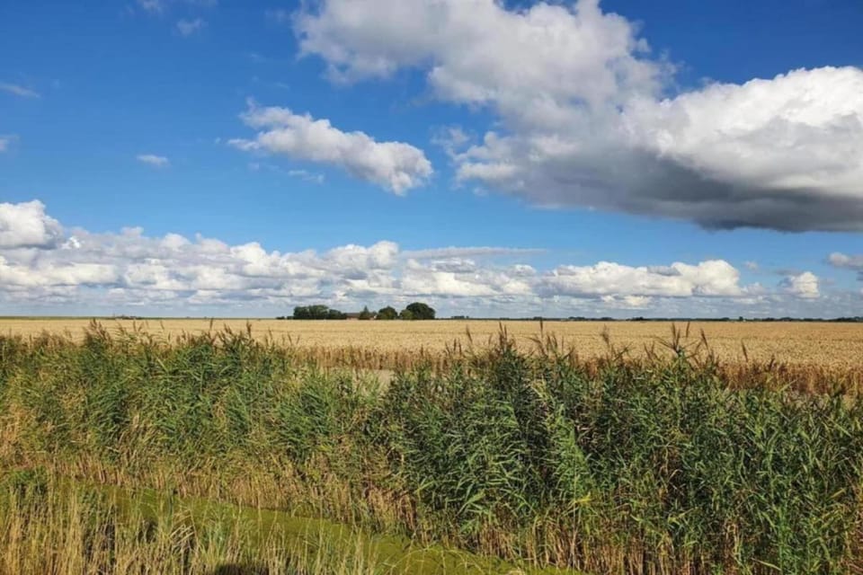 Region [summer] (>5 km)