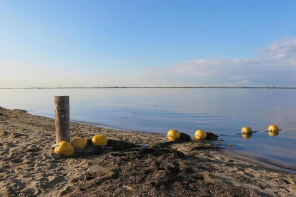 Region [summer] (>5 km)