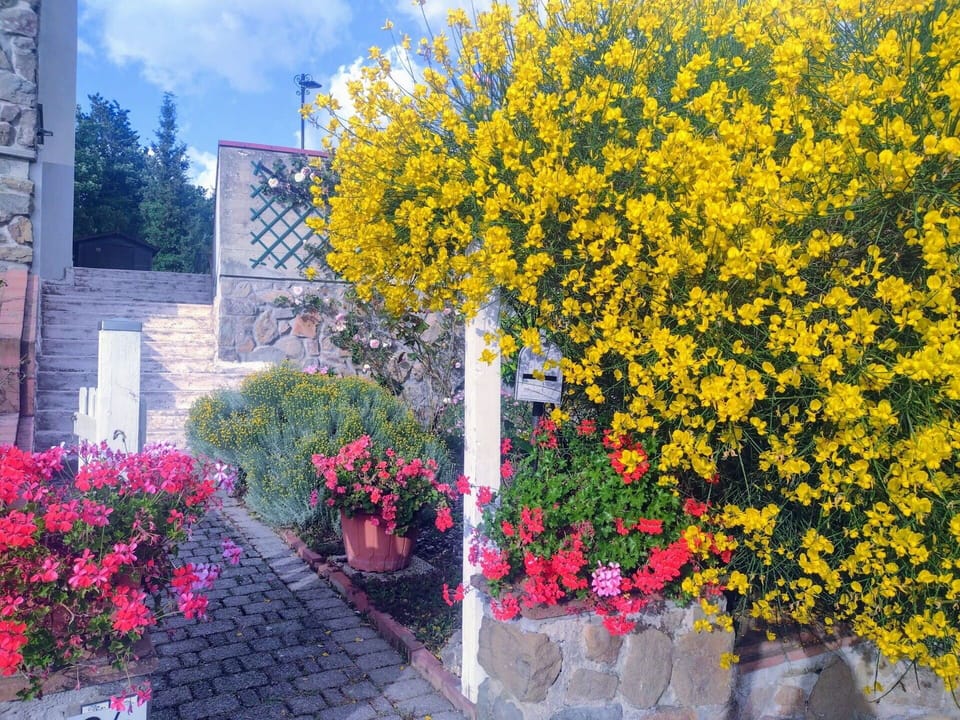 Autumn, Building Exterior, Spring, Summer